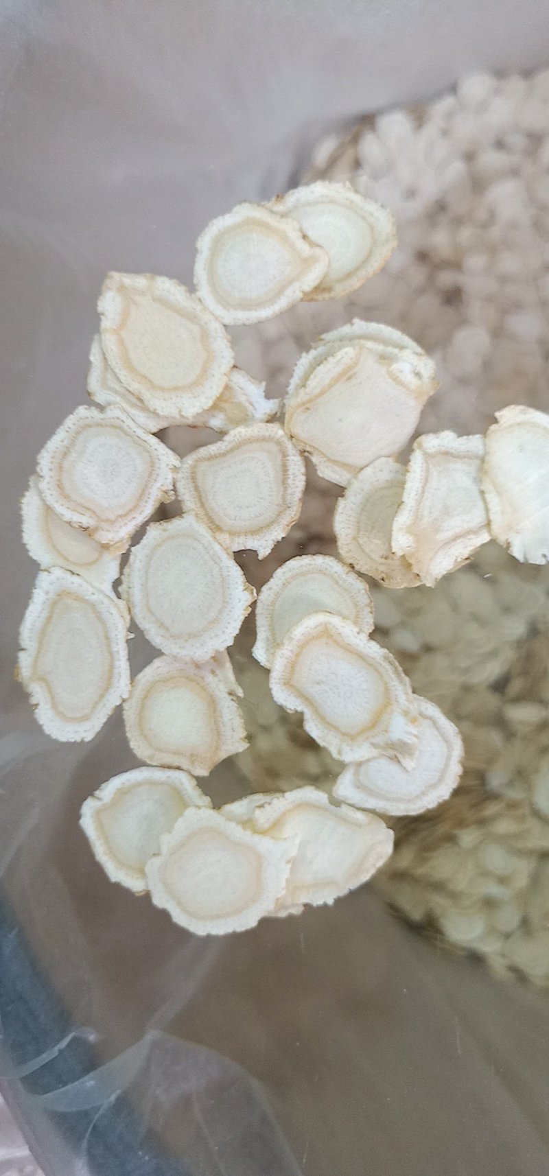 中药材西洋参西洋参片滋补养生中药材
