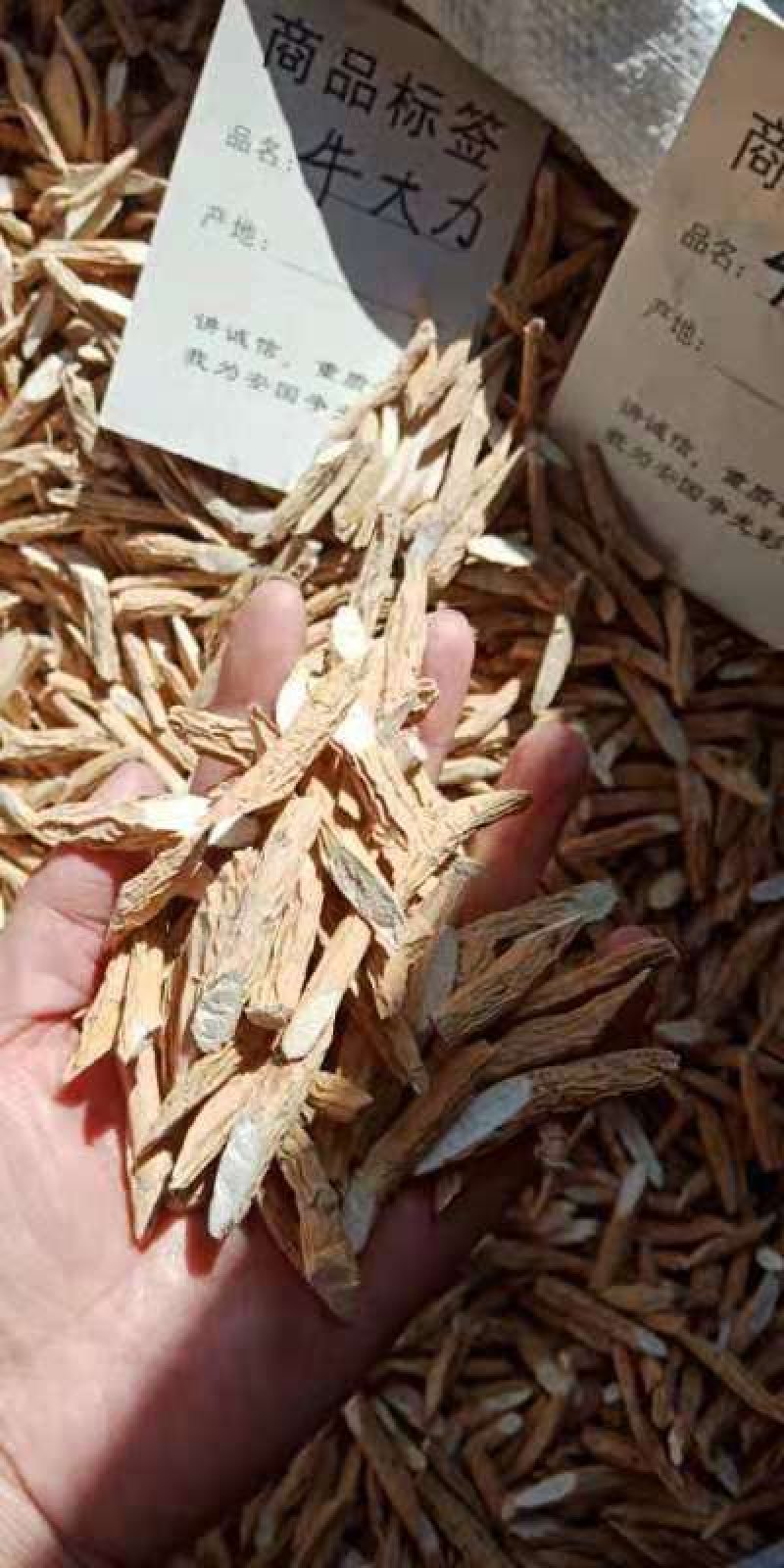 中药材牛大力粉质干货