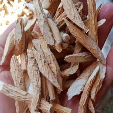 中药材牛大力粉质干货