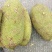 菠萝蜜通货长年有货老客户优先派送