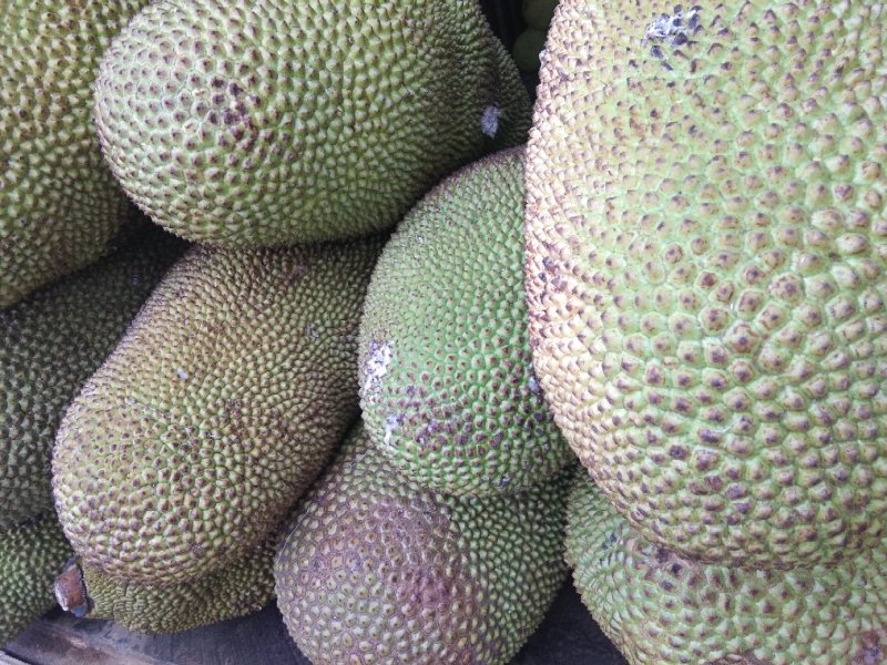 菠萝蜜通货长年有货老客户优先派送
