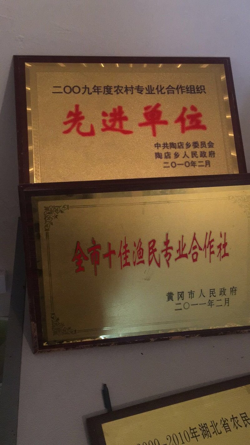 优质草鱼苗，水花，夏花，包成活，货真价实，假一赔十