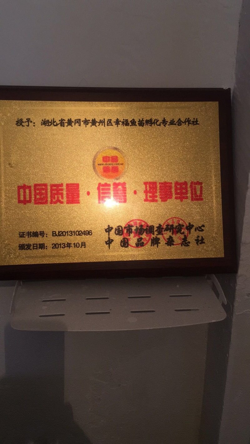湖北鱼苗孵化主产地，直接供应花鲢水花，夏花，乌子，新品种