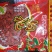 枸杞，枸杞蜂蜜