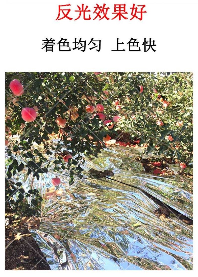 万福通苹果反光膜地膜葡萄苹果桃子打孔镀铝反光膜