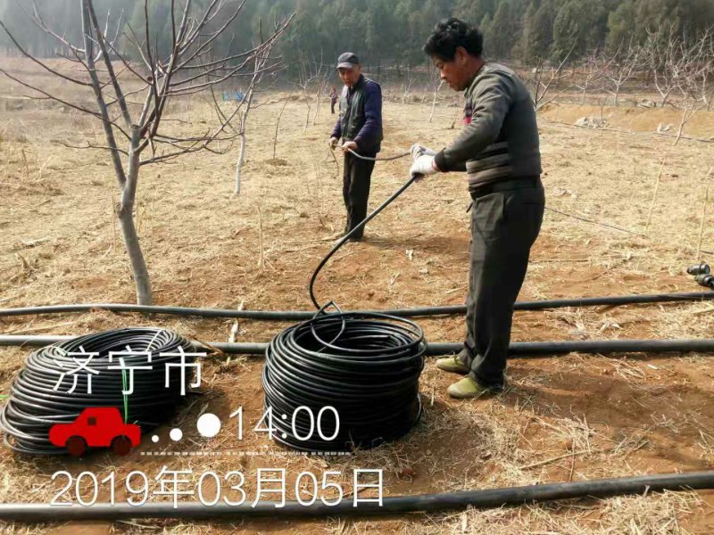 圆柱滴灌管果园，山地，葡萄等铺设方便！双滴孔抗晒耐用