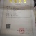 出售不知火丑柑凸顶柑柑橘嫁接苗苗高45-65cm