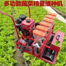 蔬菜播种机小粒种子精播机手推的电动的汽油的行矩株矩可调