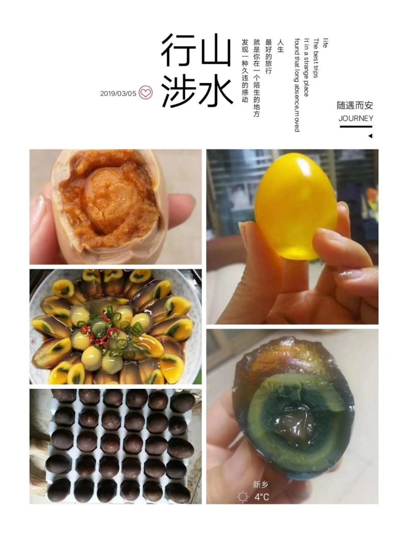 皮蛋