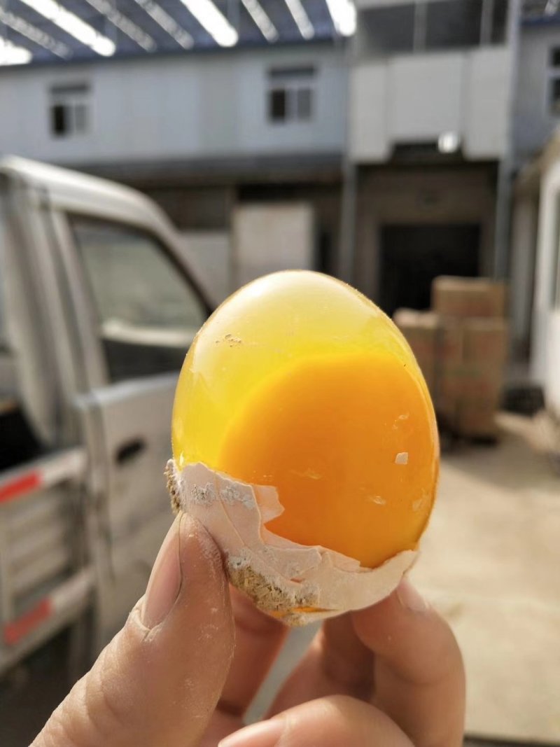 皮蛋
