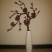 灵芝菌棒