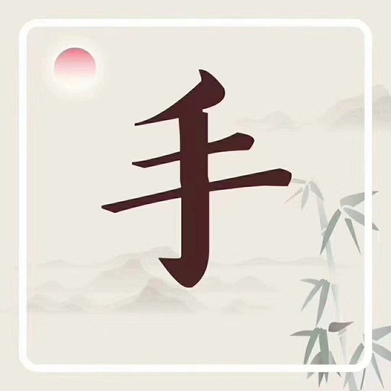 精品苦菊