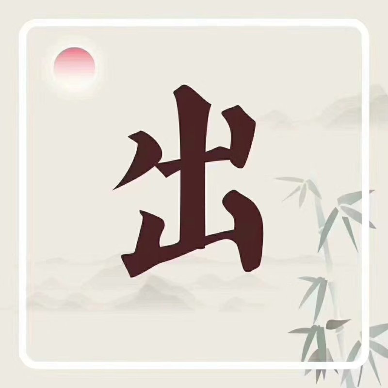 精品苦菊