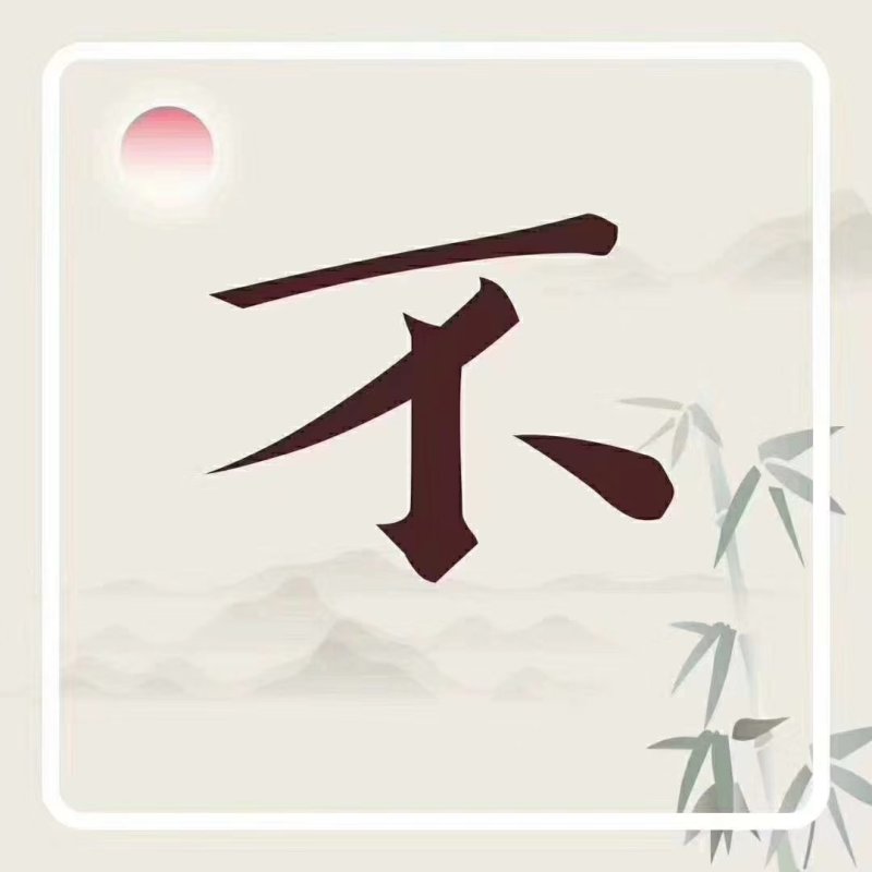 精品苦菊