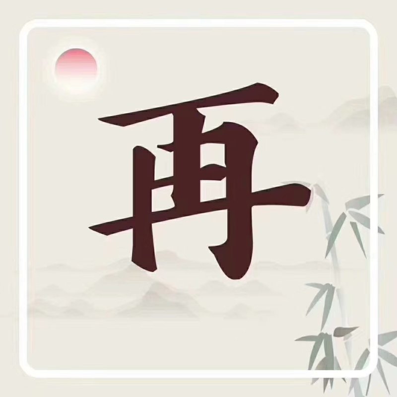 精品苦菊