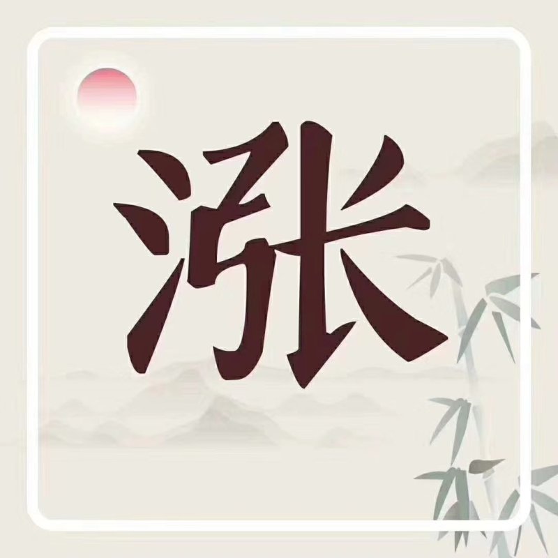 精品苦菊