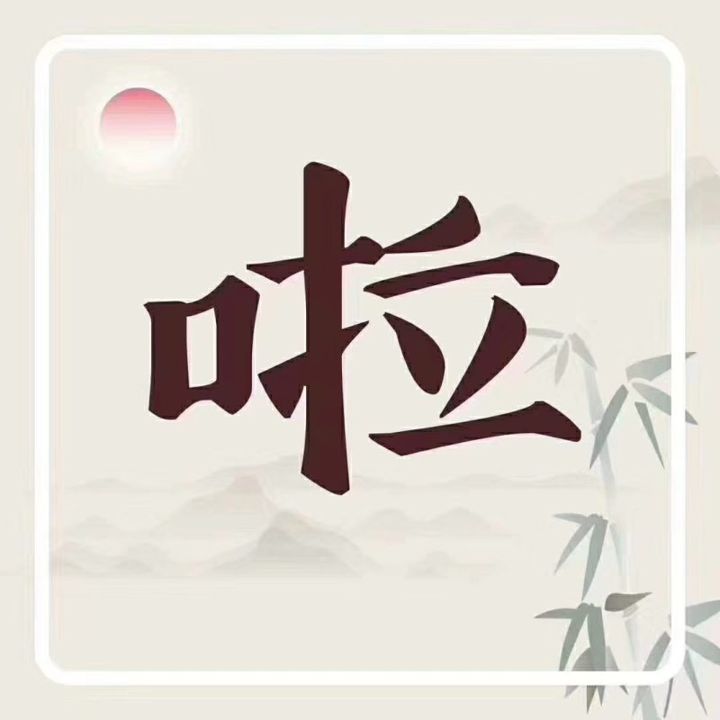 精品苦菊
