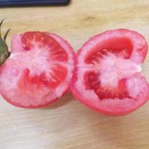 硬粉西红柿番茄内蒙古代办超市直供产地直销