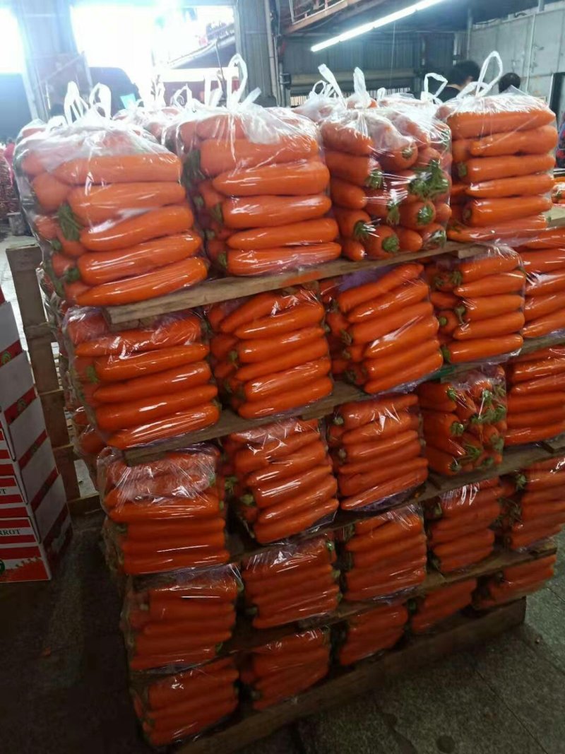 胡萝卜，福建蔬菜胡萝卜精品胡萝卜，大量上市，万亩基地合作