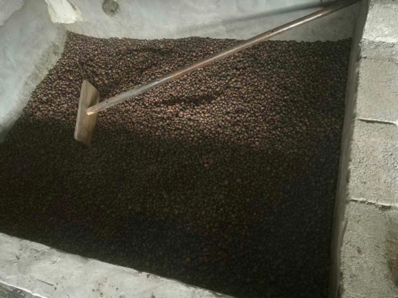 纯正野生茶油