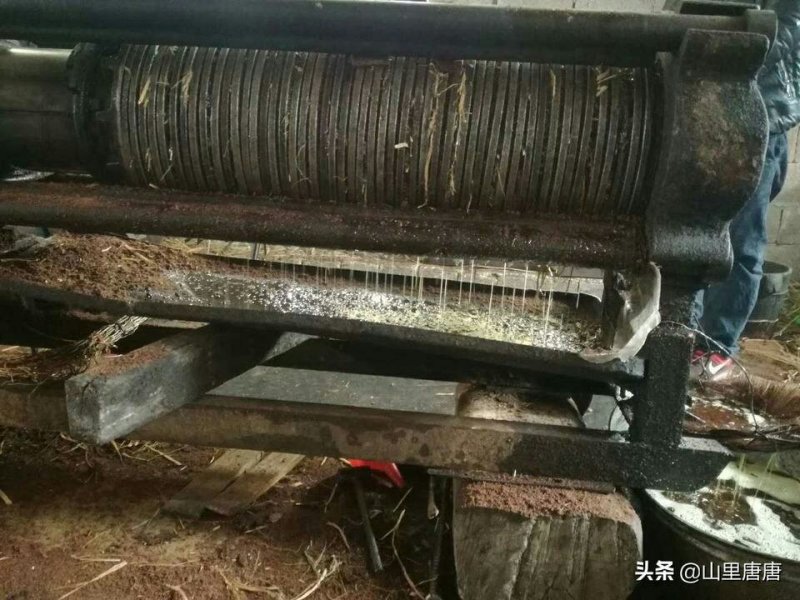 纯正野生茶油