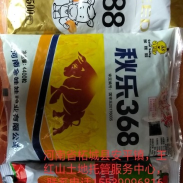 玉米种2017年国审品种秋的368