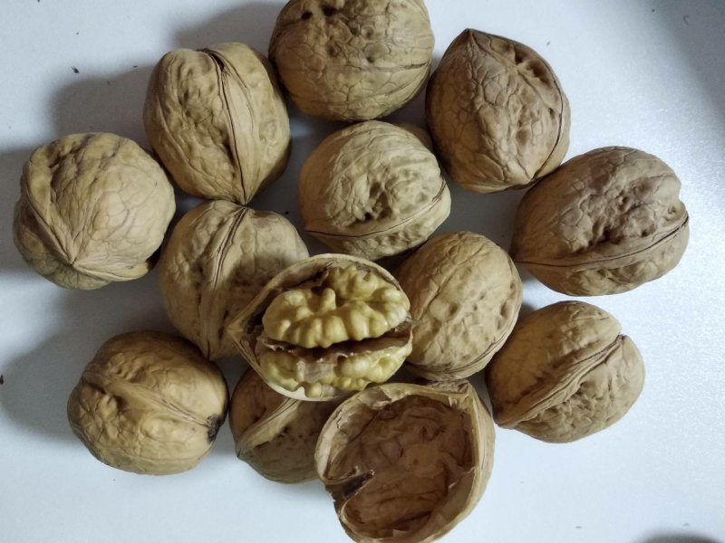阿克苏薄皮核桃