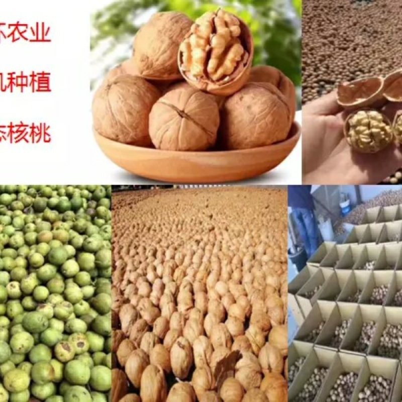 阿克苏薄皮核桃
