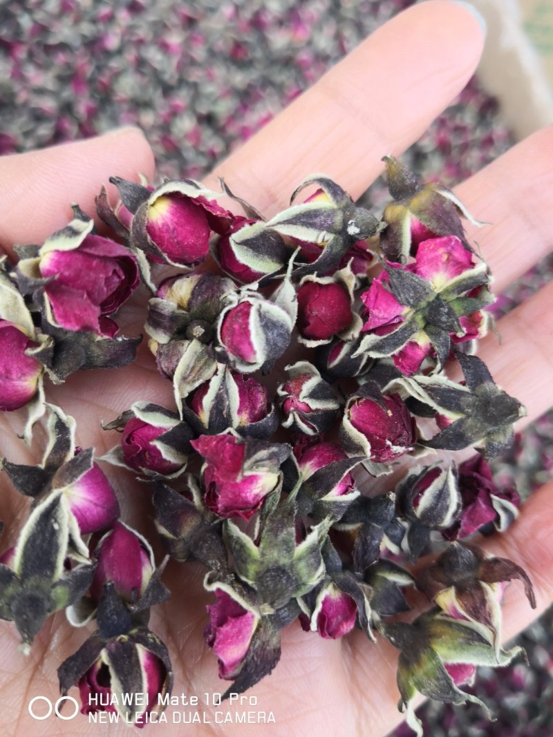 金边玫瑰干货量大从优经营各种花类中药材