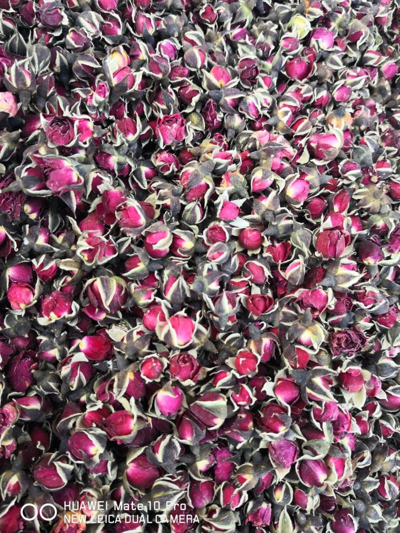 金边玫瑰干货量大从优经营各种花类中药材