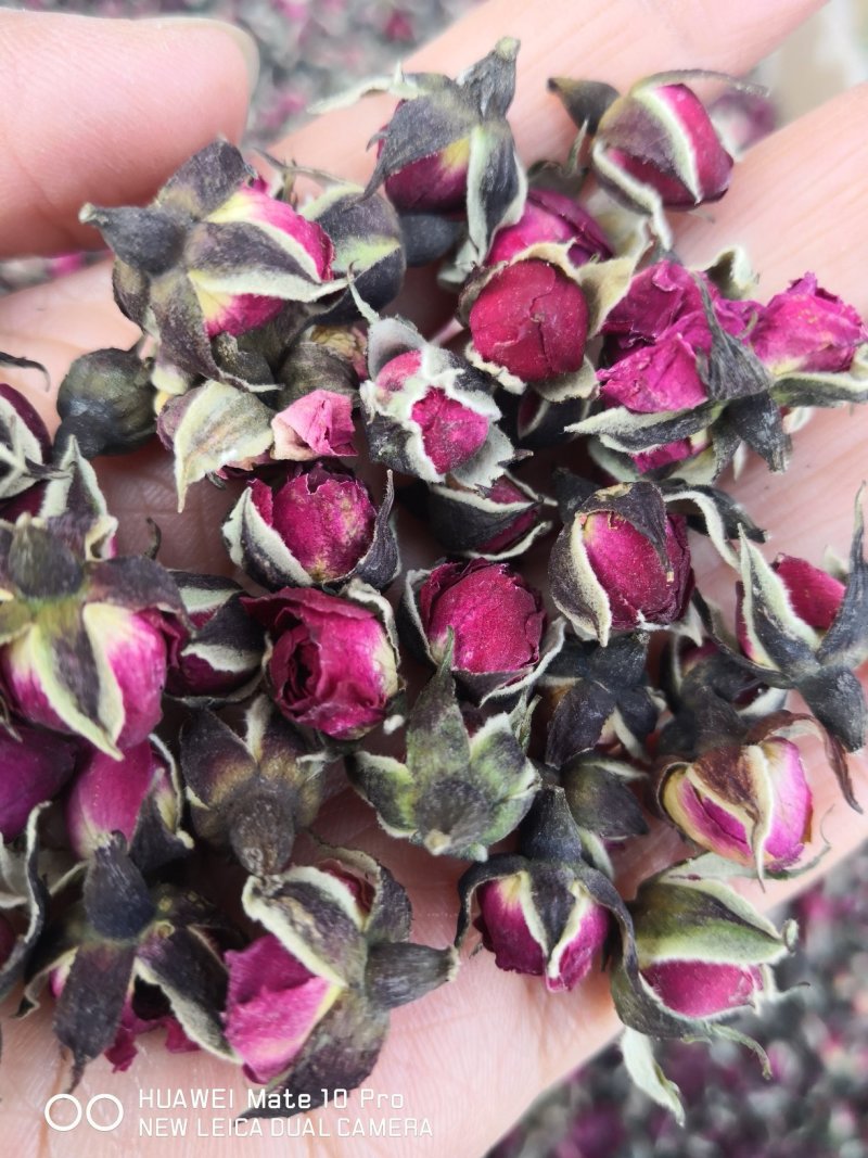 金边玫瑰干货量大从优经营各种花类中药材