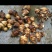 自己种值300苗紫芋头，无公害蔬菜