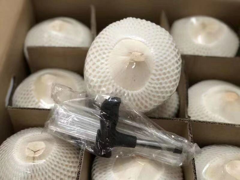 海南椰青9个装，6个装，4个装代发