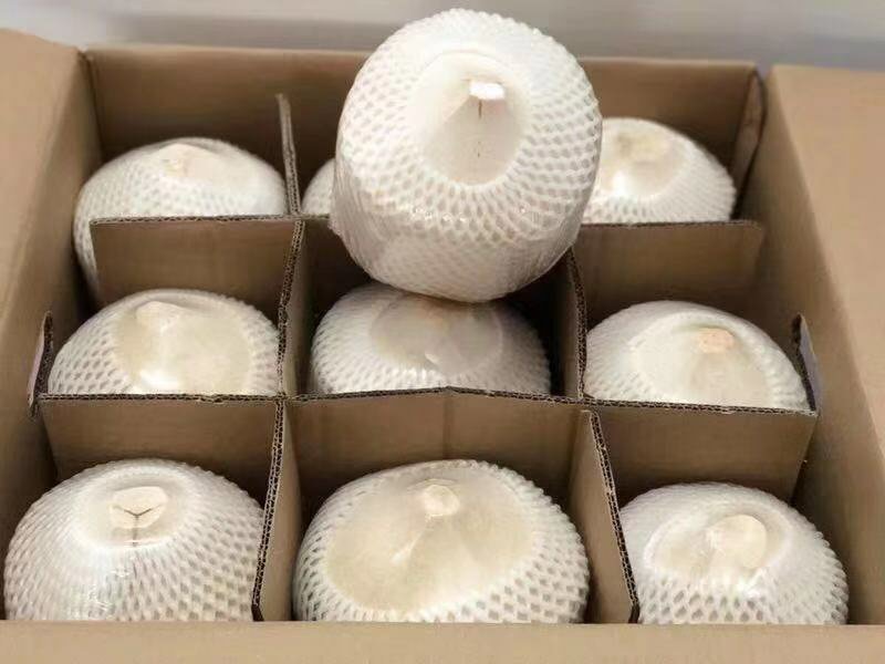 海南椰青9个装，6个装，4个装代发