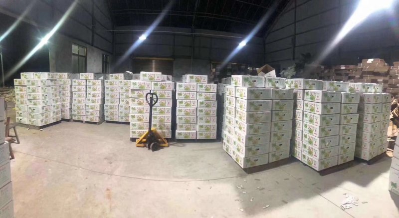 海南椰青9个装，6个装，4个装代发