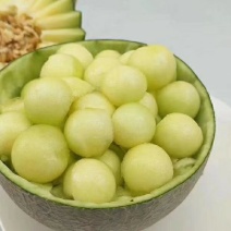 海南玫珑瓜，网络瓜，供应链对接