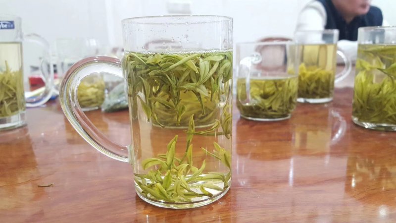 安吉白茶