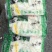 长期供应甜笋罐头、无任何添加剂、肉嫩脆口、