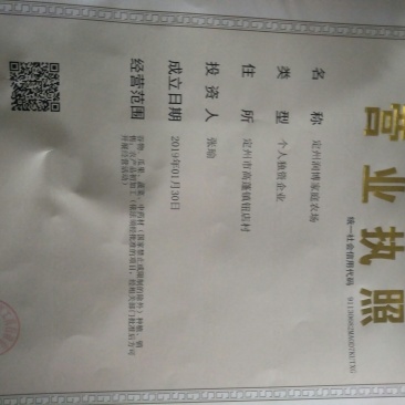 白术白术芽子