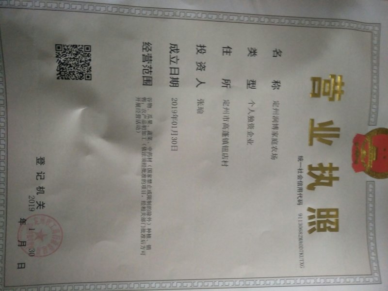 白术白术芽子