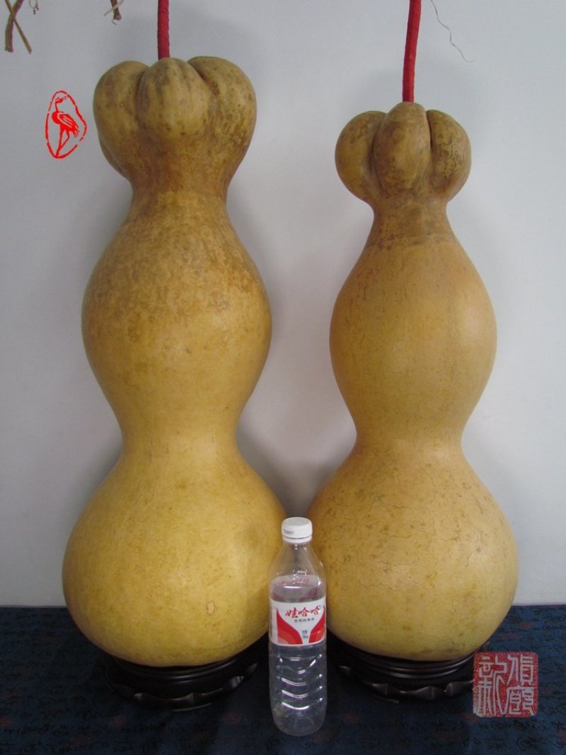 镇宅莲花头特大葫芦