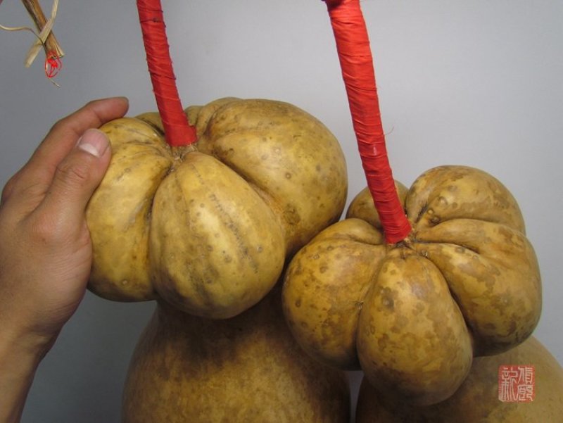 镇宅莲花头特大葫芦