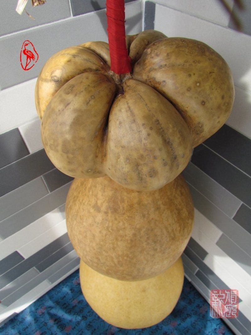 镇宅莲花头特大葫芦