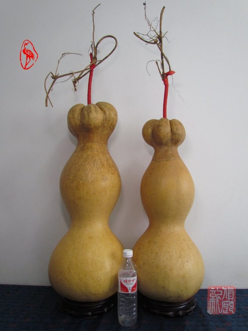 镇宅莲花头特大葫芦