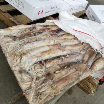 船冻鱿鱼原料30斤一方