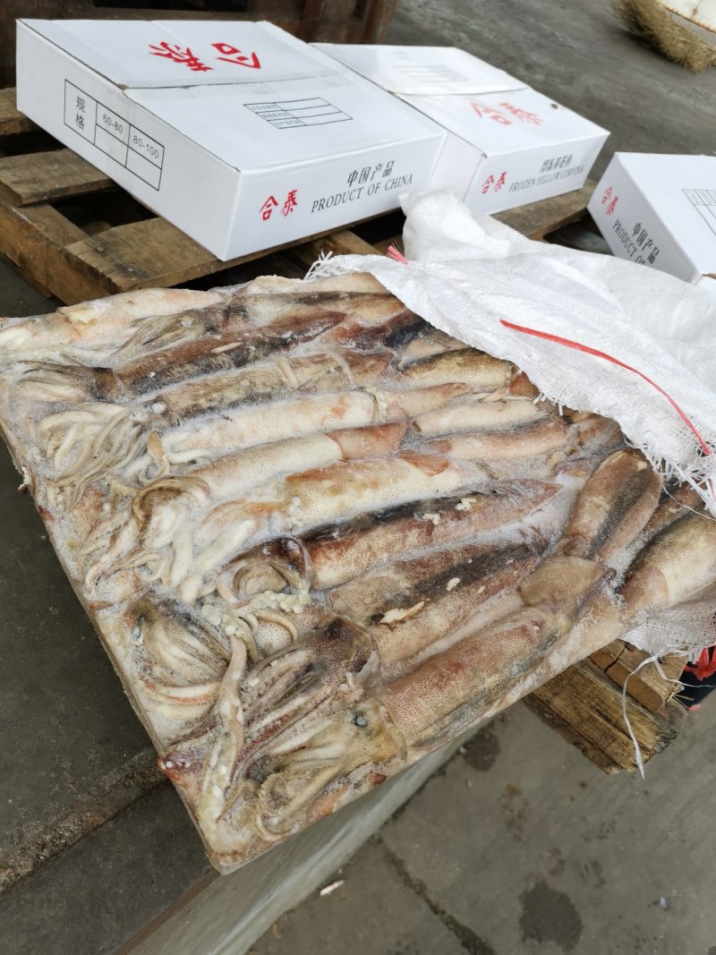 船冻鱿鱼原料30斤一方