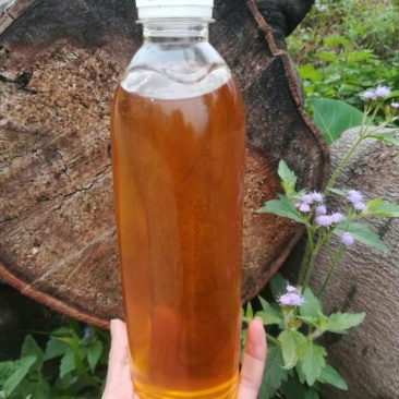 野生山茶油（）