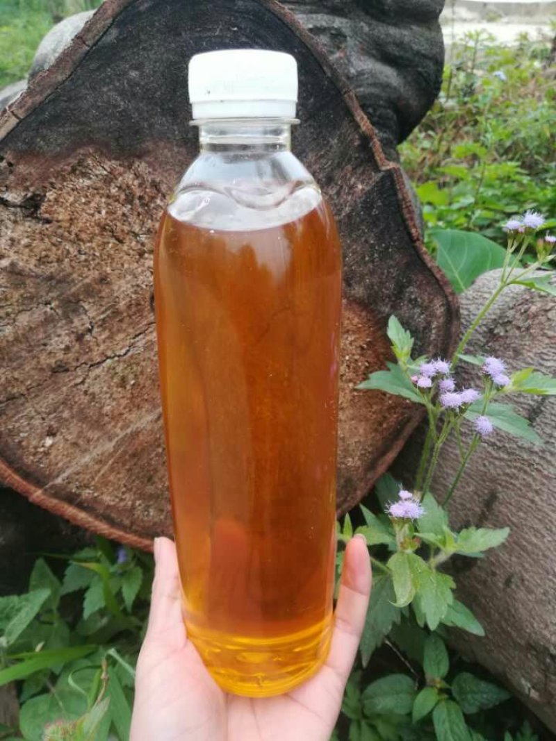 野生山茶油（）