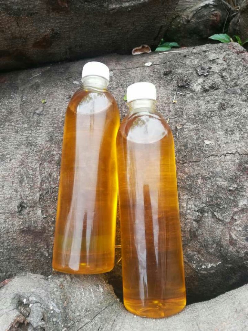 野生山茶油（）