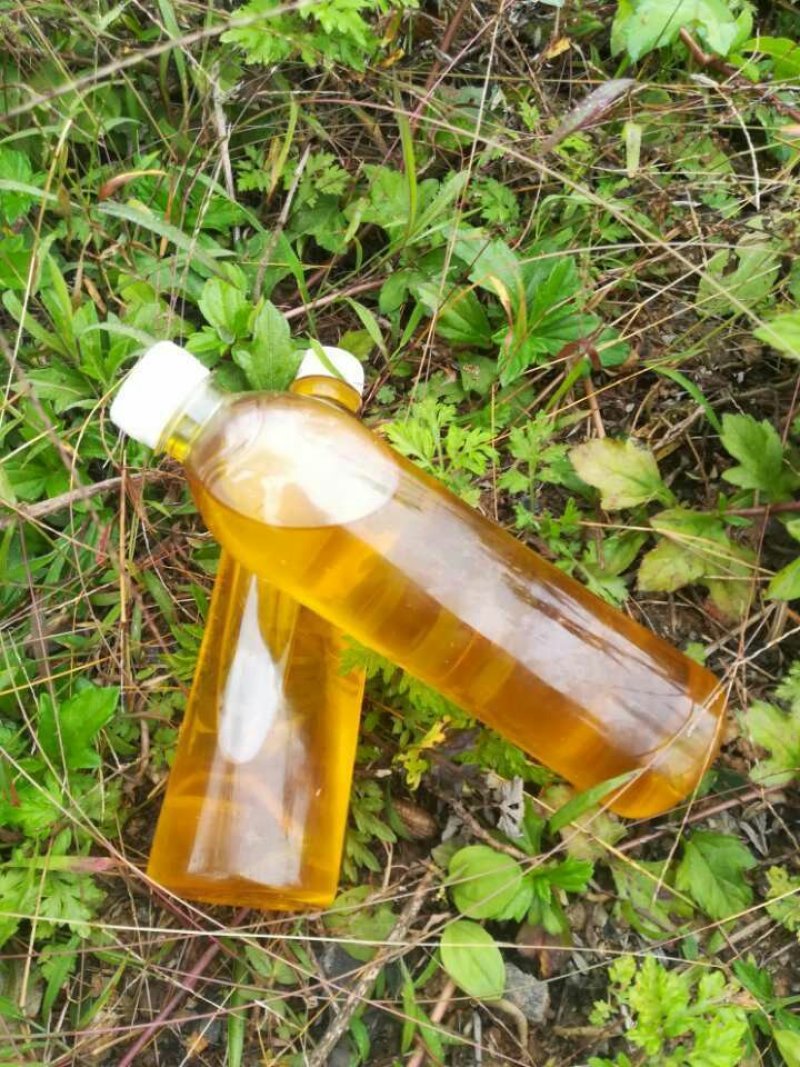 野生山茶油（）